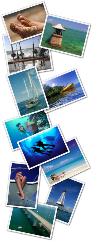 Florida Keys Collage